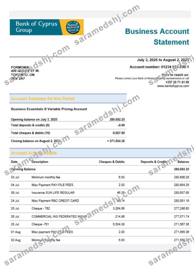 Bank of Cypriot firm account statement Word and PDF format